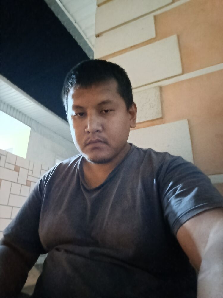  52911311  , 29 ,    