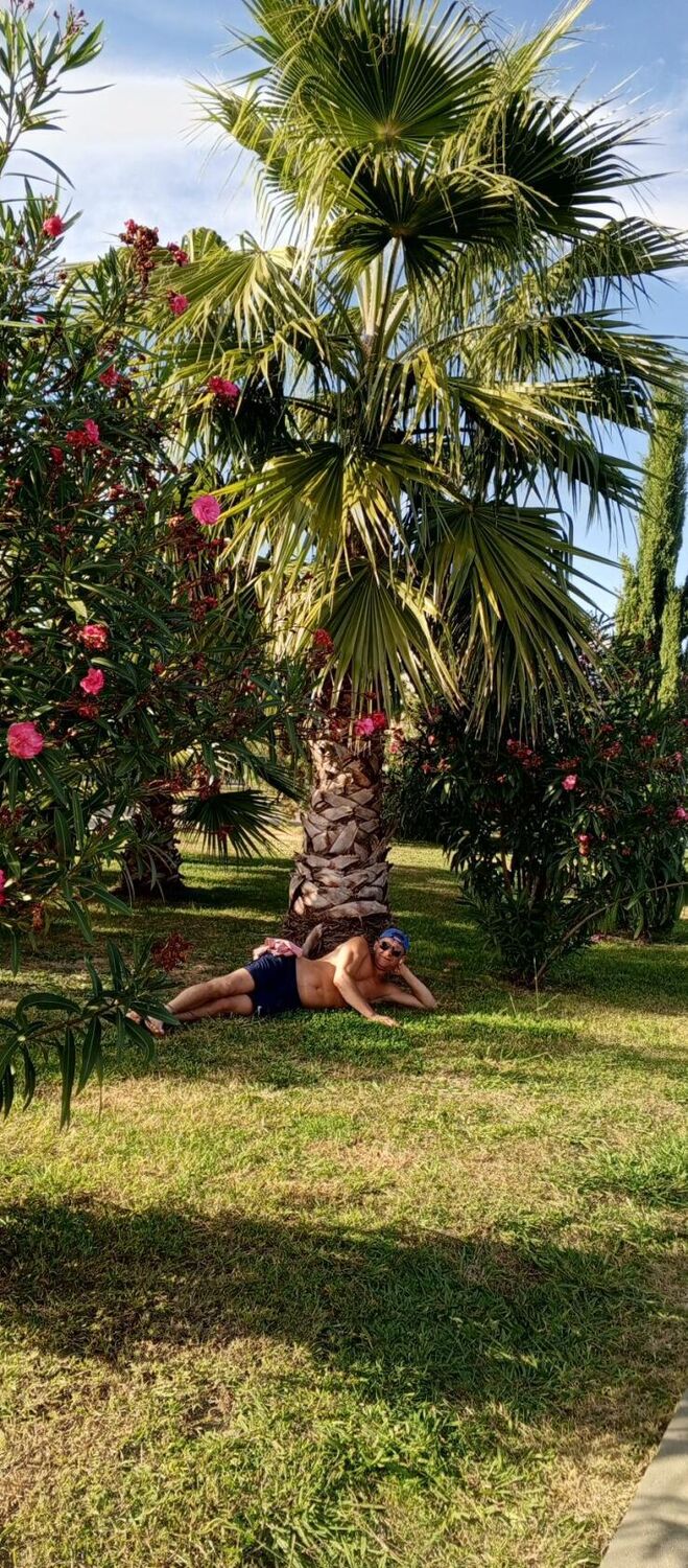 ���������� ����, ���� ������� ���������, 40 ���, ������������ 