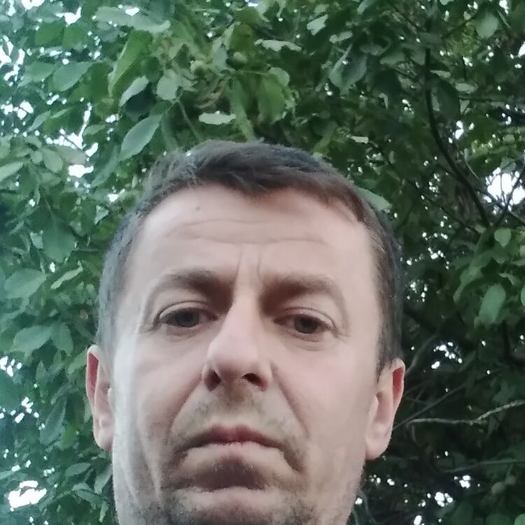  --,   , 44 ,   ,   