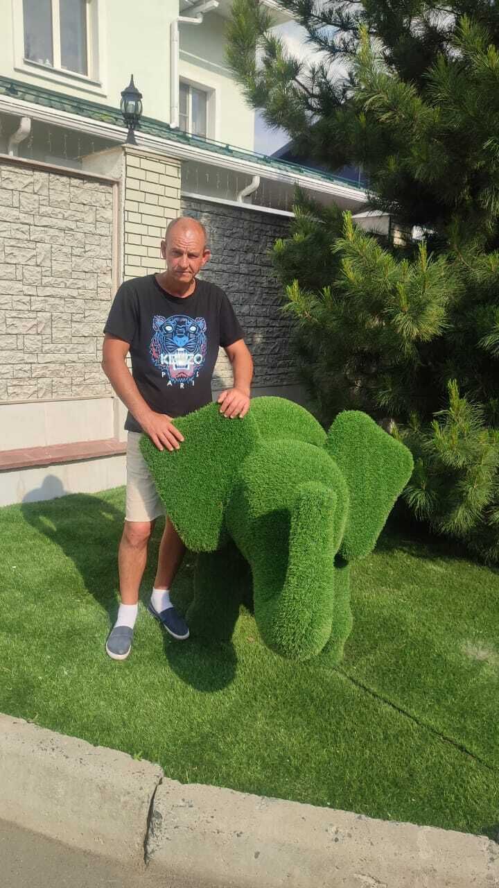  ,   , 46 ,   ,   