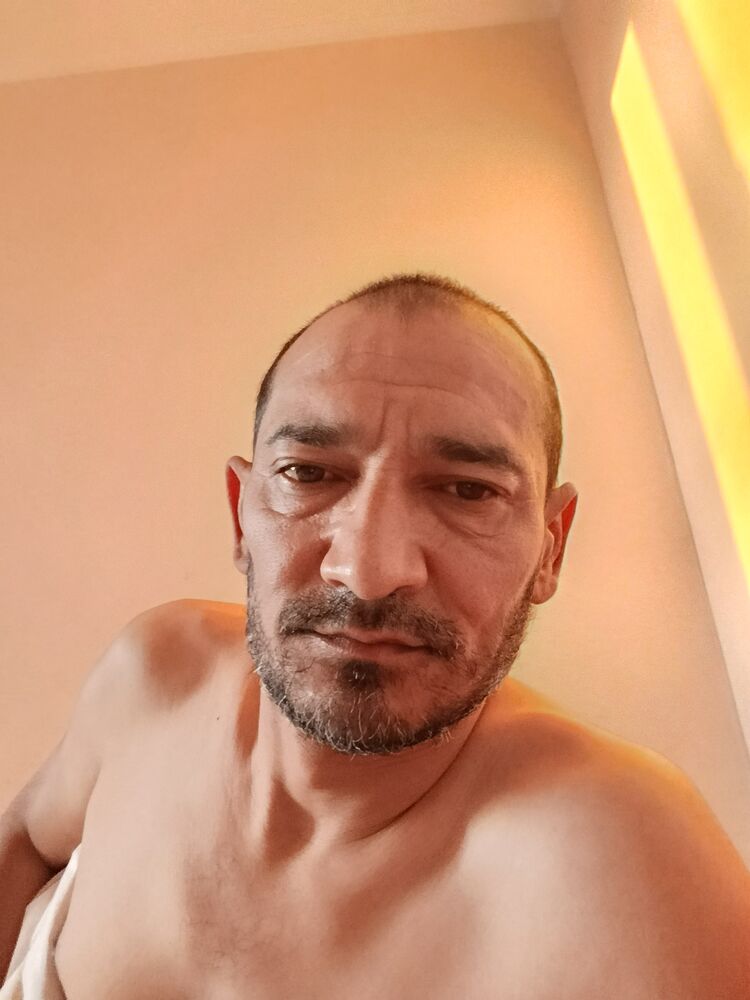  53666701  , 43 ,    