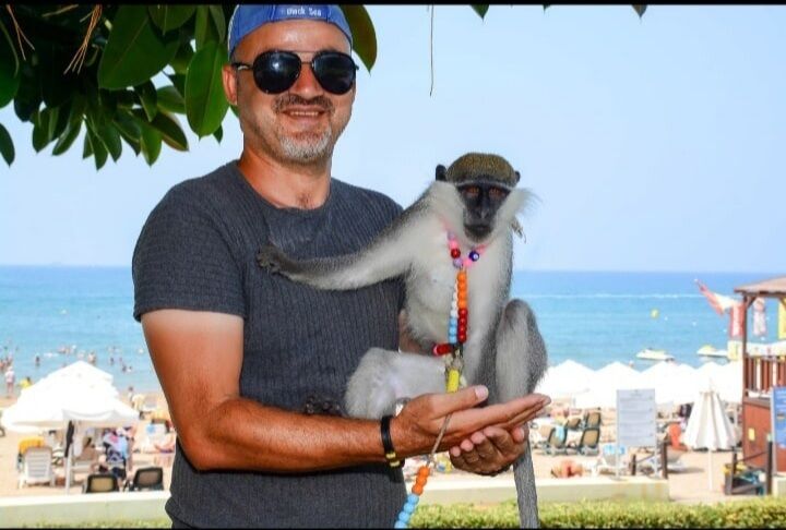 ���������� ������, ���� ������� ����, 99 ���, ������������ ��� ������, ����� � ���������, ���������