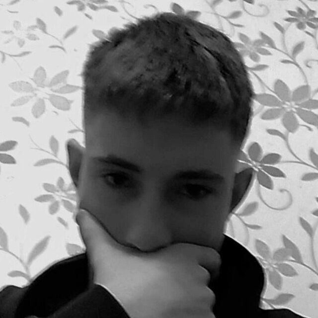  49377651  , 19 ,    