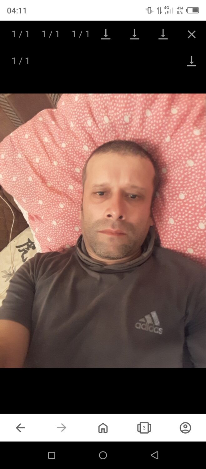 35583561  , 44 ,    