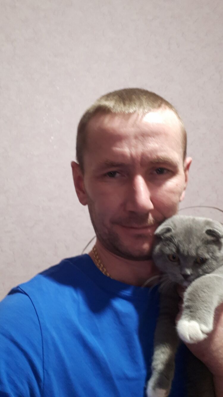 ���������� �����, ���� ������� ���������, 43 ����, ������������ ��� ����� � ���������, c�������� ���������