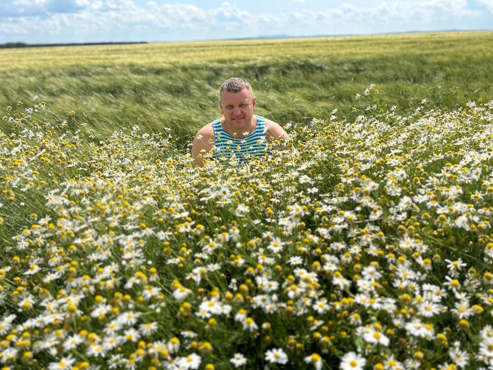 ���� 45182241 ������� �������, 44 ����, ���� ���������� � ������