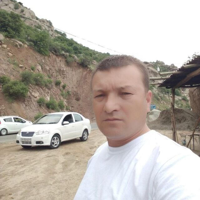  33995021  , 38 ,    