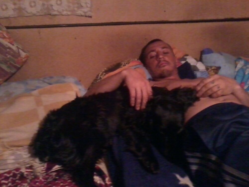  6603461  , 50 ,    -