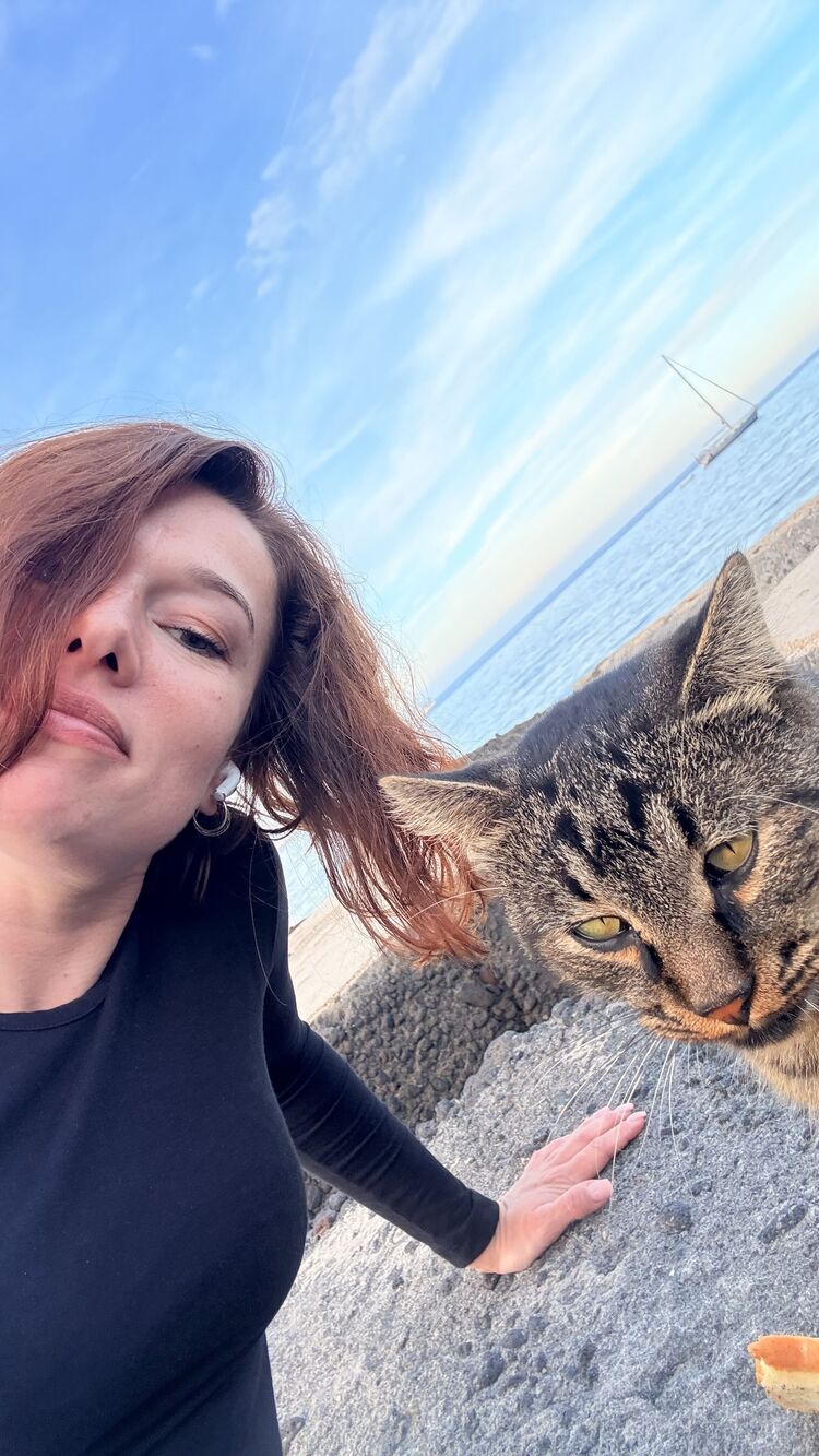 ���������� ������, ���� ������� ��������, 35 ���, ������������ 