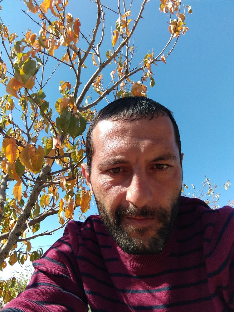 ���� 24198341 ������� Gev, 44 ����, ���� ���������� � �������