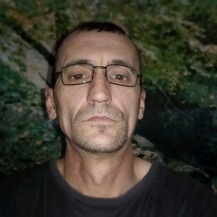  40039591  , 50 ,    