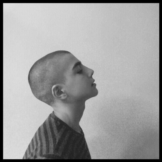 ���� 7881101 ������� Giorgi, 27 ���, ���� ���������� � �������