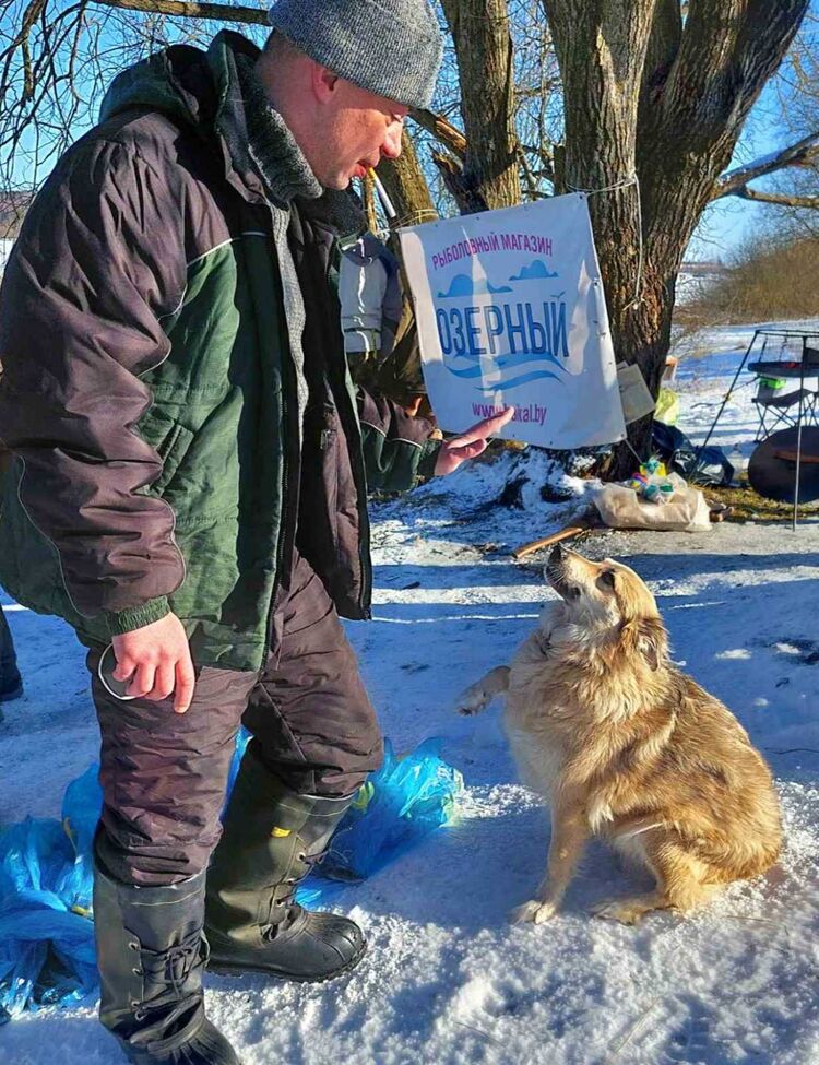 ���������� �����, ���� ������� �������, 44 ����, ������������ ��� ������, ����� � ���������, c�������� ���������