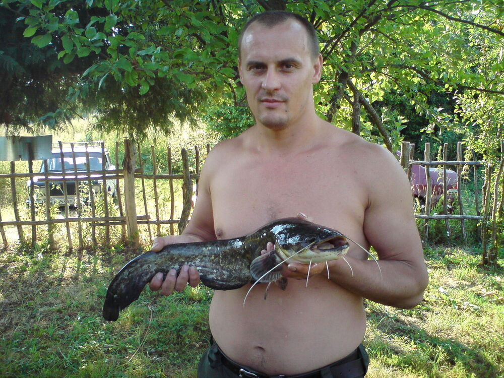 ���� 7195591 ������� ����, 46 ���, ���� ���������� � ����