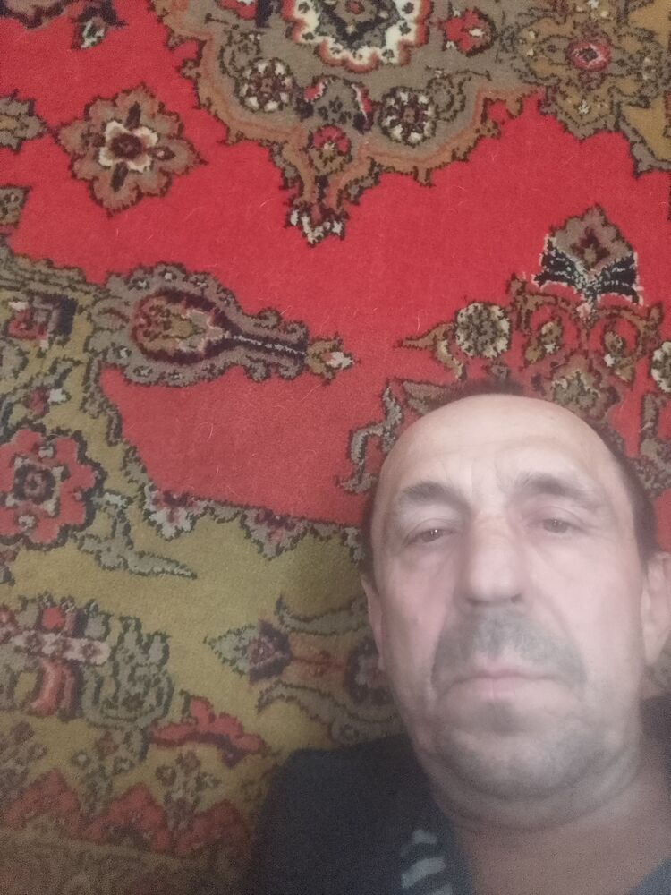  43038041  , 56 ,    