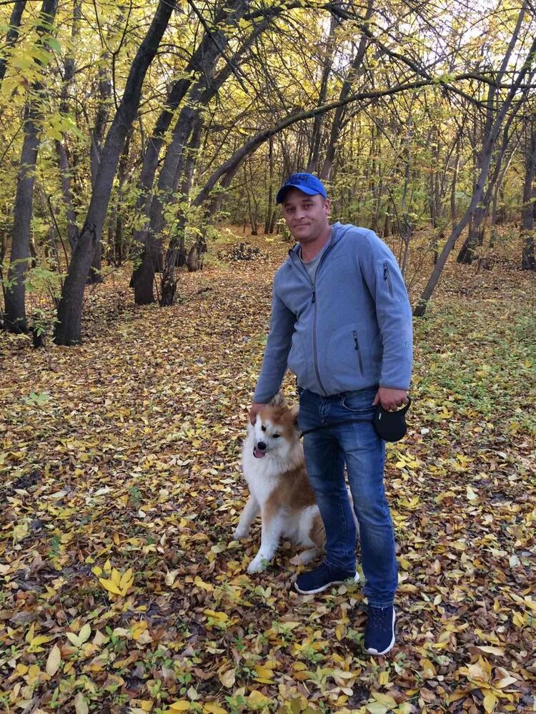 ���� 18506711 ������� �������, 43 ����, ���� ���������� � ����������