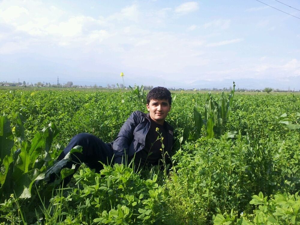 ���������� �������, ���� ������� ������, 33 ����, ������������ ��� ������, ����� � ���������, c�������� ���������, ���������