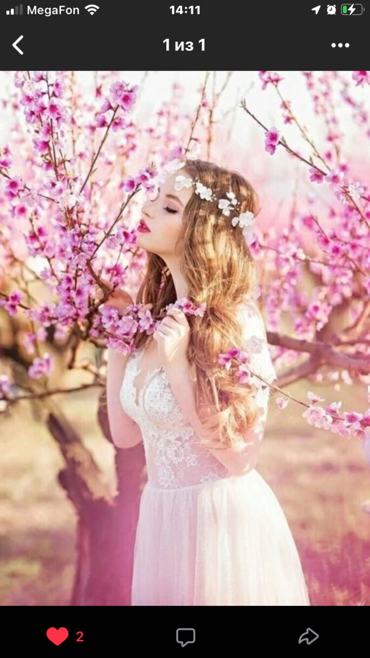 ���� 37752421 ������� ������, 20 ���, ���� ���������� � �����-����������