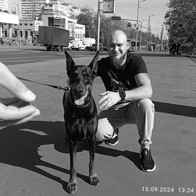 ���� 55833401 ������� �������, 28 ���, ���� ���������� � ��������