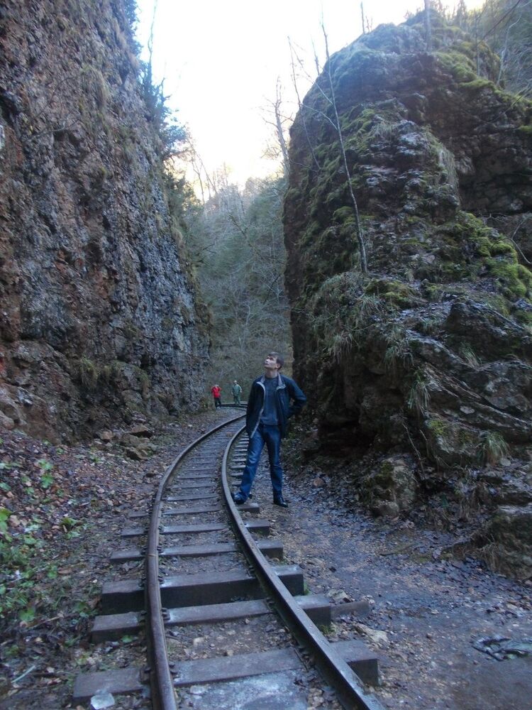 ���������� ���������, ���� ������� �������, 36 ���, ������������ ��� ������, ����� � ���������