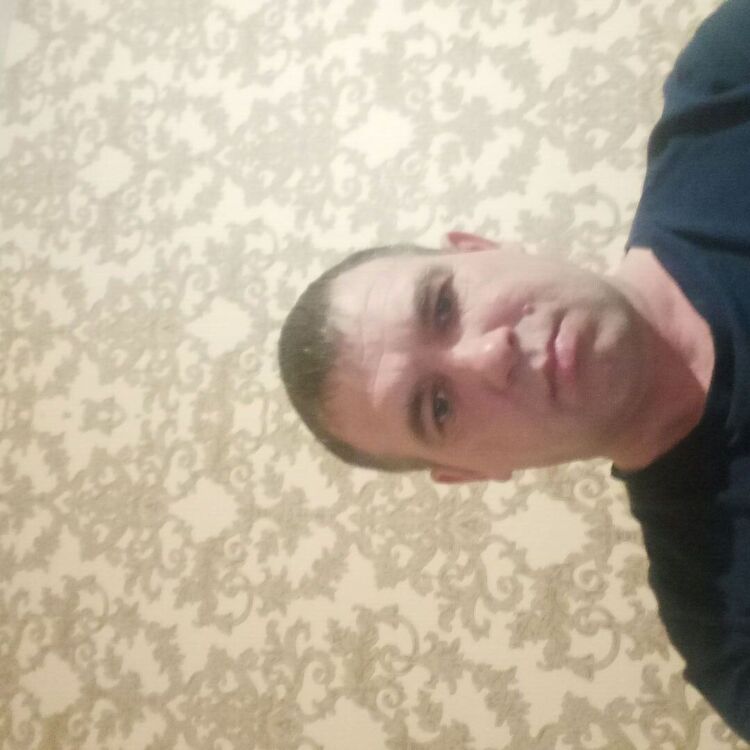  53033511   , 43 ,    