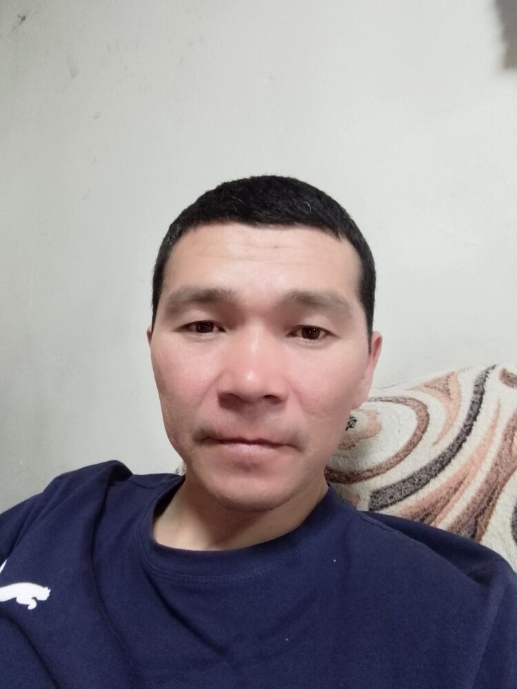  33503841  , 42 ,    -