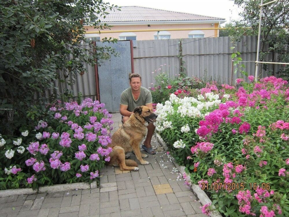  ,   , 40 ,  