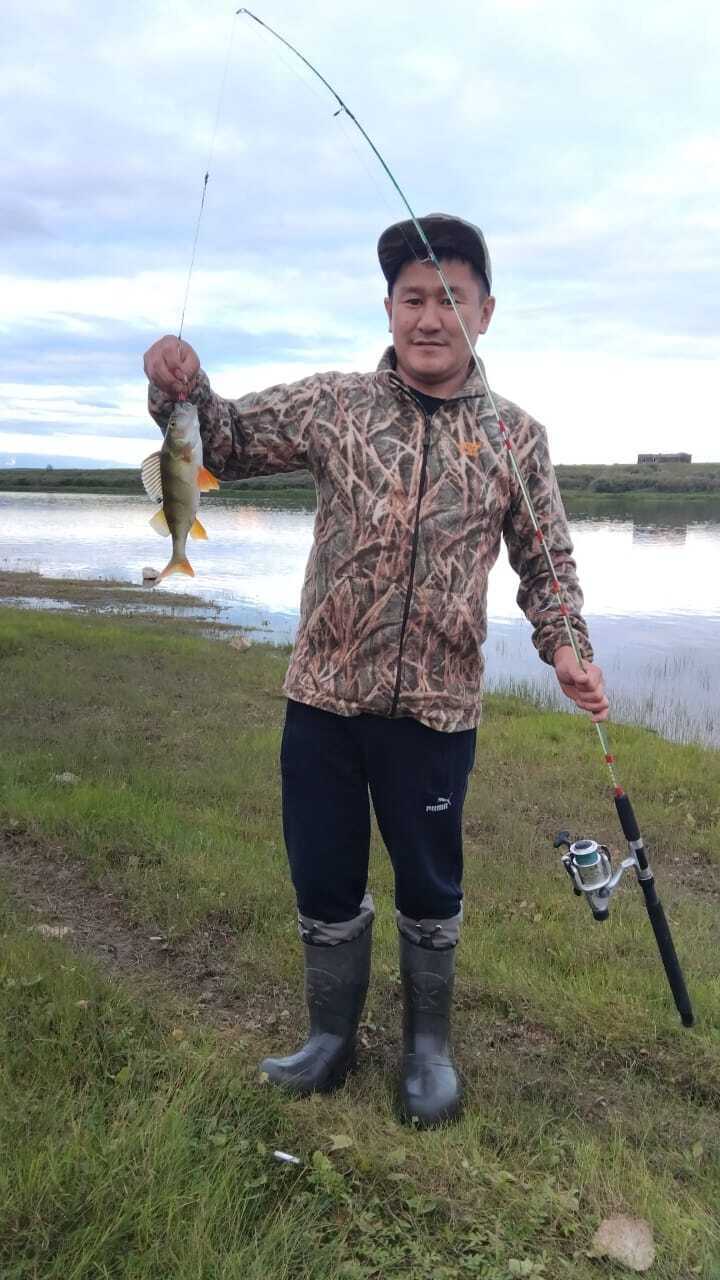 ���� 56308111 ������� �����, 39 ���, ���� ���������� � �������