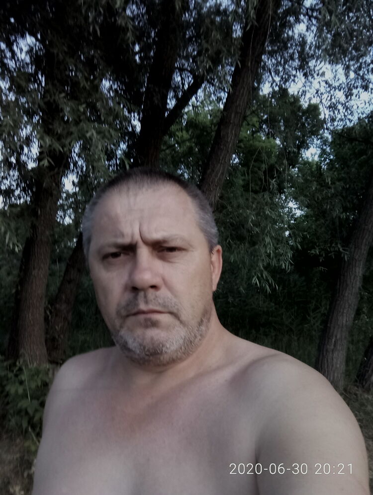  24158571  , 50 ,    