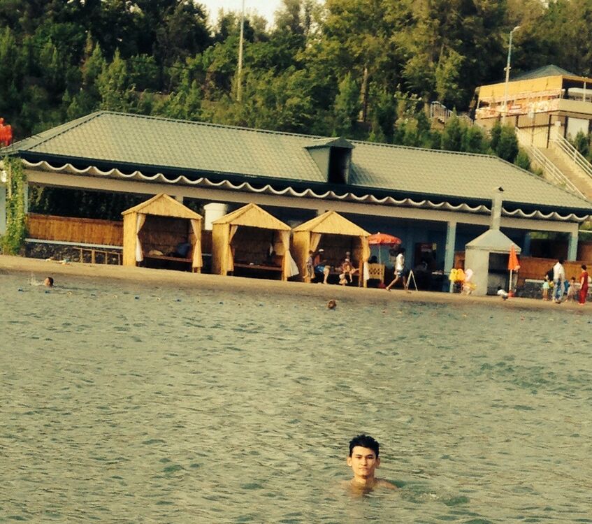 ���������� �������, ���� ������� �����, 29 ���, ������������ ��� ���������