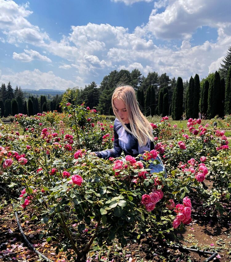 ���������� ������, ���� ������� ����, 24 ����, ������������ ��� ����� � ���������