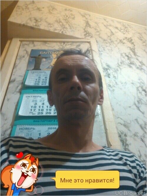  8455361  , 51 ,    -