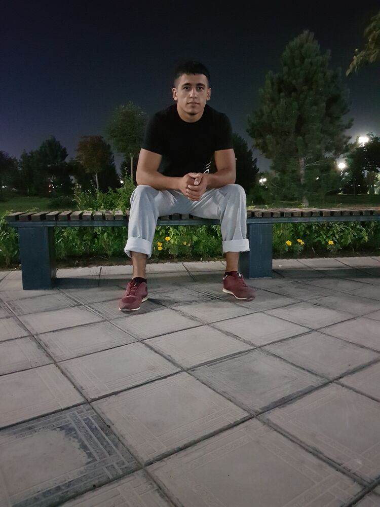  26050831  , 25 ,    