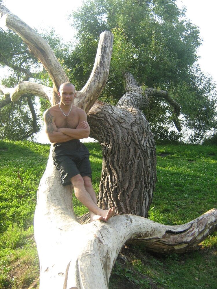 ���� 9555701 ������� Darius, 45 ���, ���� ���������� � �����