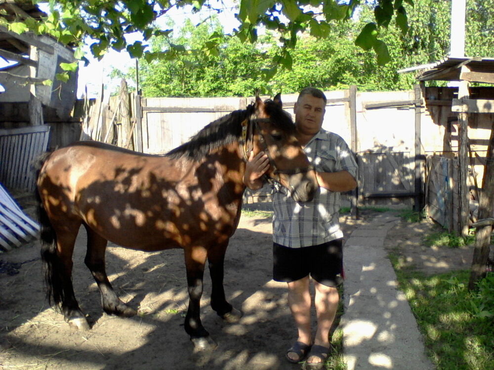 ���� 4834851 ������� �����, 55 ���, ���� ���������� � �����������