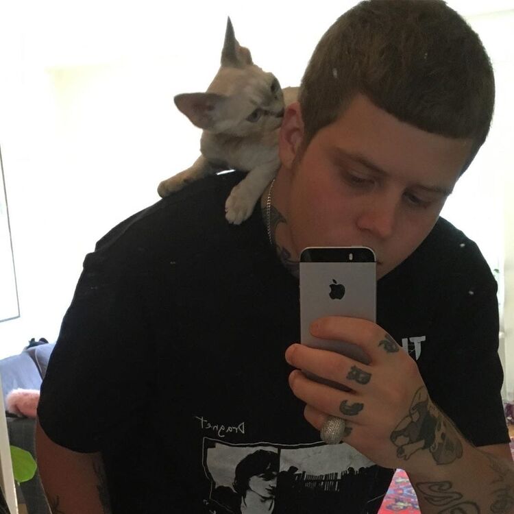 ���� 24476611 ����� ����, 23 ����, ���� ���������� � ��������