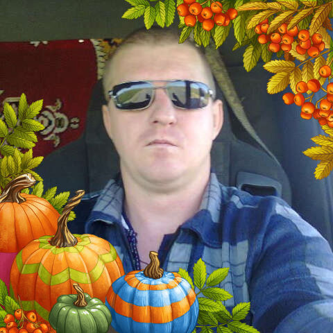 ���� 16646981 ������� ����, 46 ���, ���� ���������� � ������