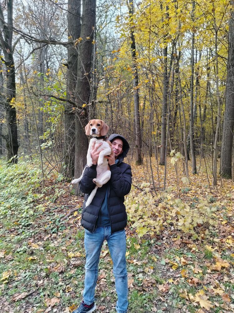 ���������� ������, ���� ������� �����, 37 ���, ������������ ��� ������, ����� � ���������