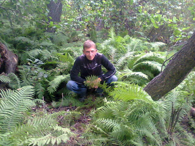  5638021  Alex, 40 ,    