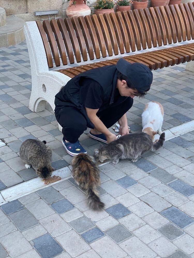 ���� 24715731 ����� ����, 23 ����, ���� ���������� � ������������