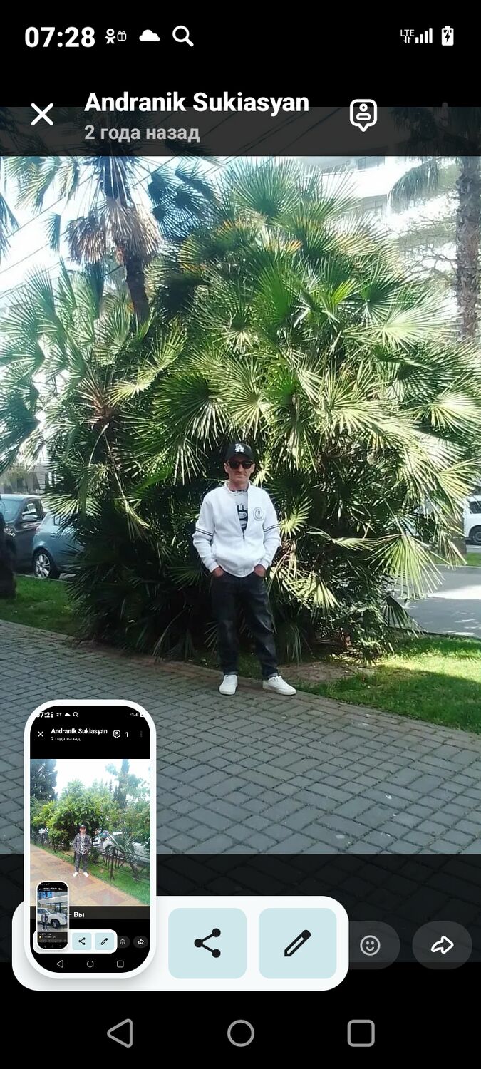  45503641  , 55 ,    