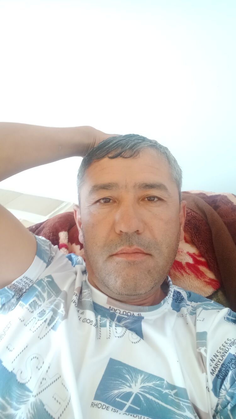  50104281  , 44 ,    