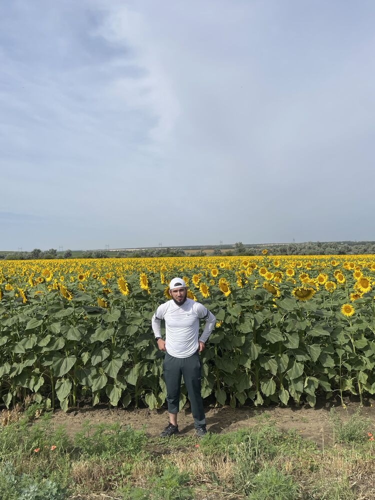 ���� 44776441 ������� ���, 33 ����, ���� ���������� � ����������