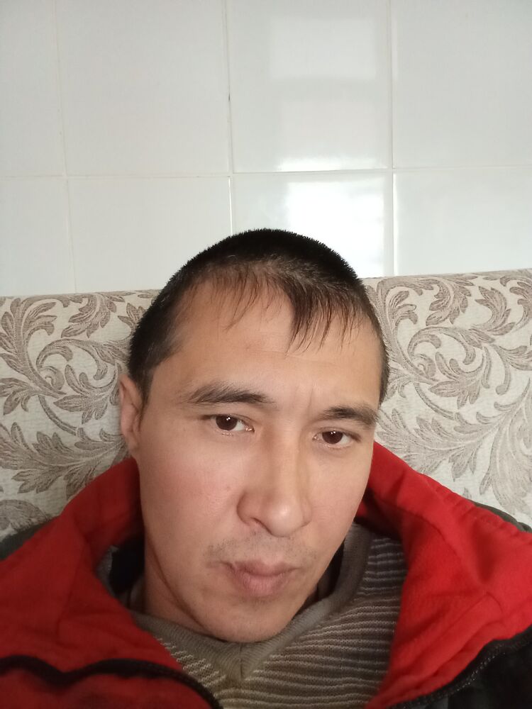  46683011  , 40 ,    