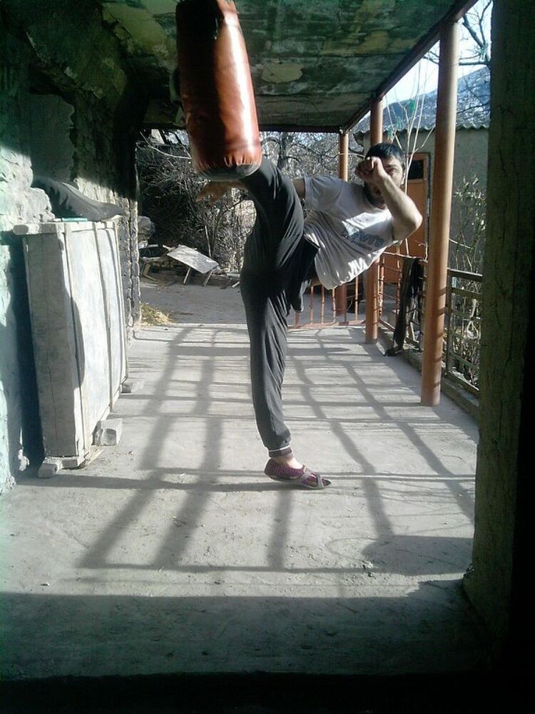  53983761  , 38 ,    