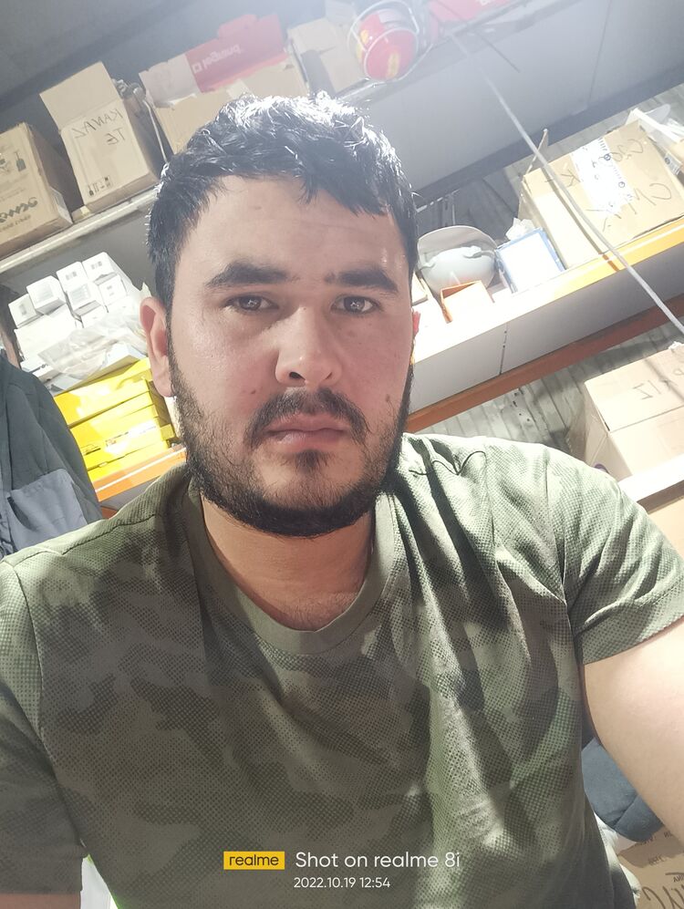  30501871  , 31 ,    