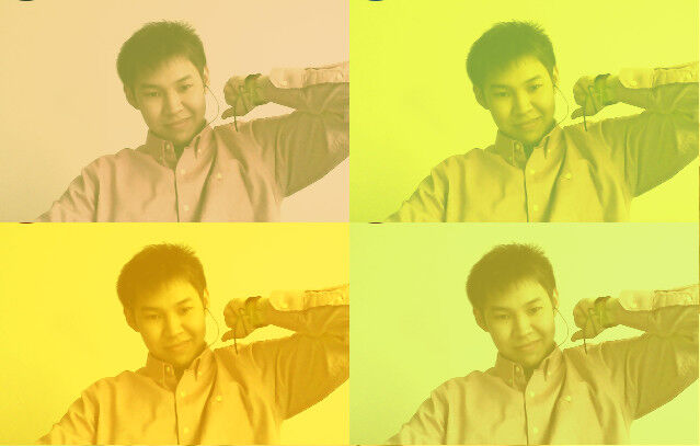  -,   Arman, 31 ,     , c 