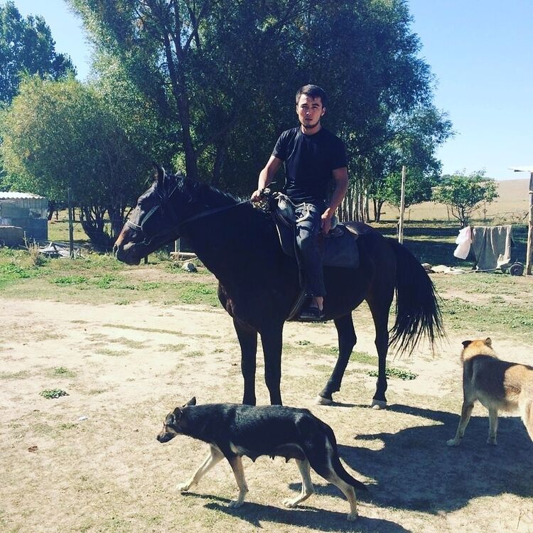 ���� 23120641 ������� ��������, 29 ���, ���� ���������� � ������