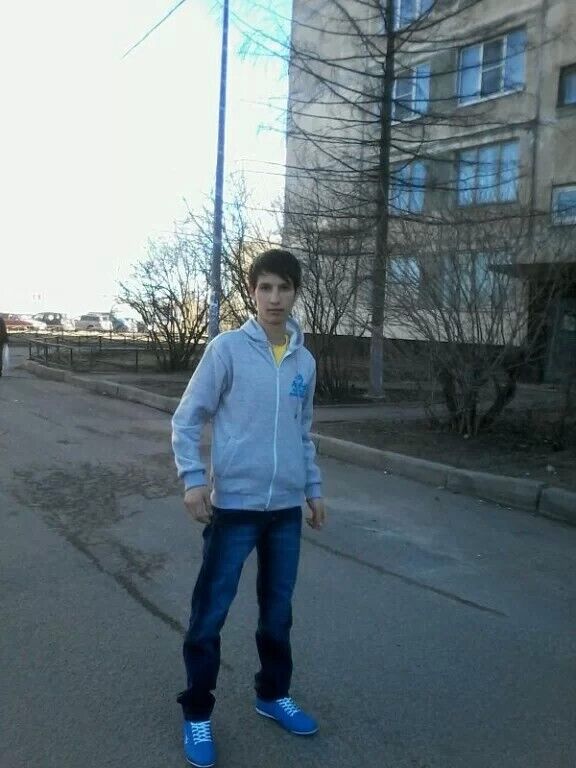  33585541  , 32 ,    -