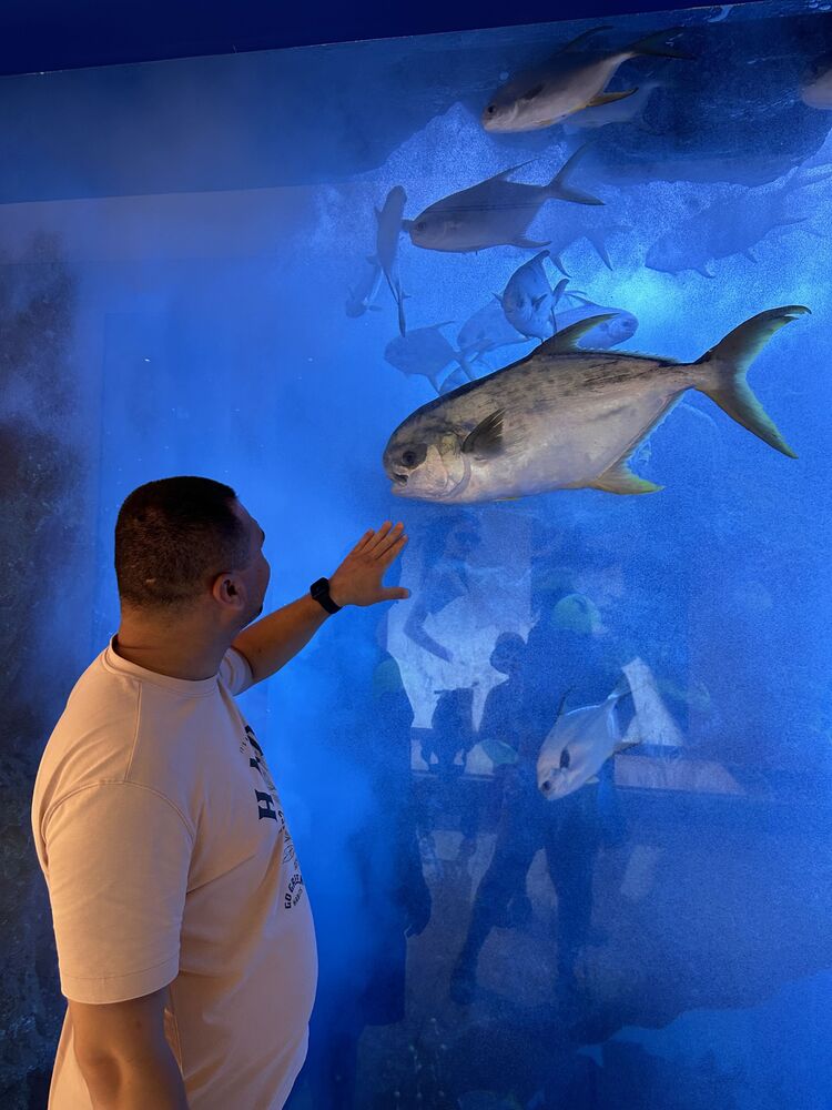 ���������� ������������, ���� ������� �����, 37 ���, ������������ ��� ������, ����� � ���������